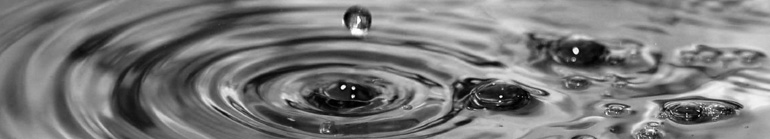 Client Reporting: 11 Ways Accounting Systems Fall Short 11