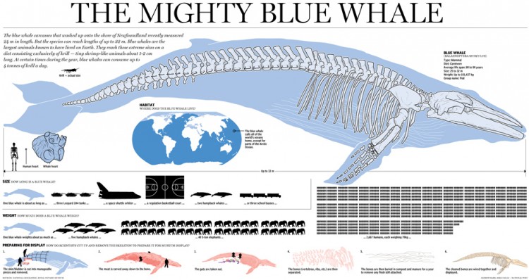 Storytelling with Data Visualization 10