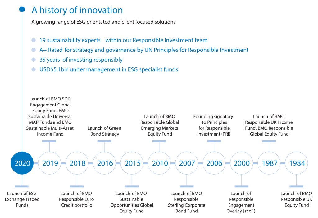 Leaders in ESG Data Visualization: BMO Global Asset Management 16