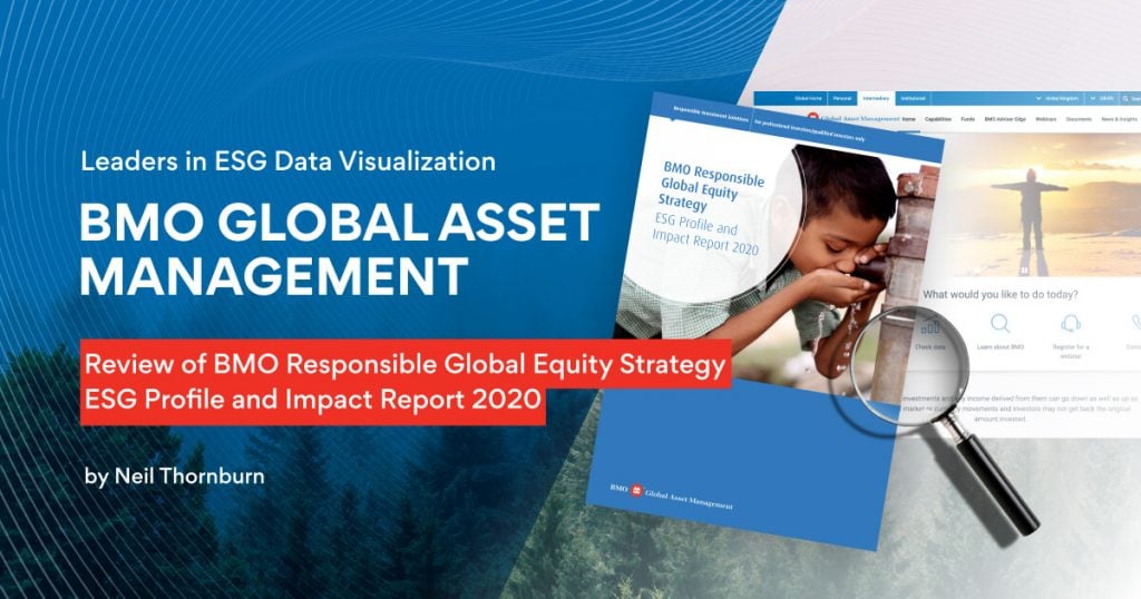 Leaders in ESG Data Visualization 3