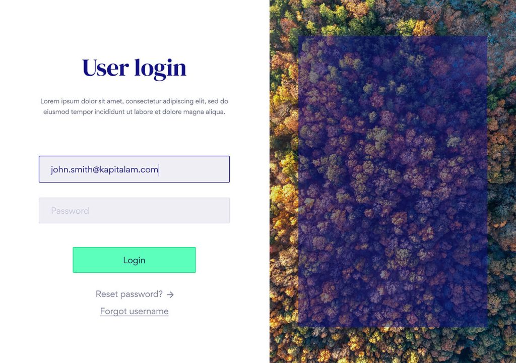 Kapital Asset Management - Login landing page sample